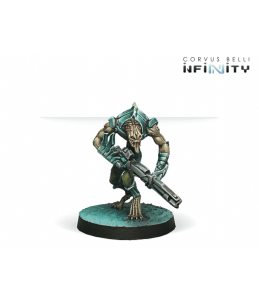 Infinity - Aswuangs Spitfire